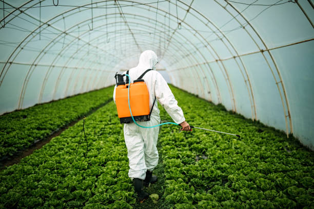 Best Affordable Pest Control Services  in Tonopah, NV