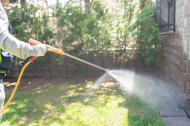 Best Pest Removal Services  in Tonopah, NV