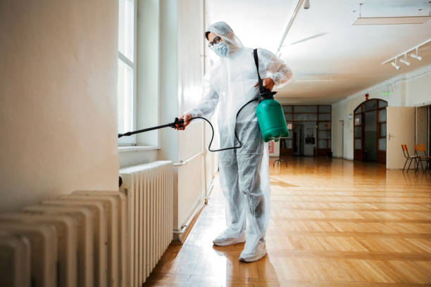 Best Best Pest Control Companies  in Tonopah, NV