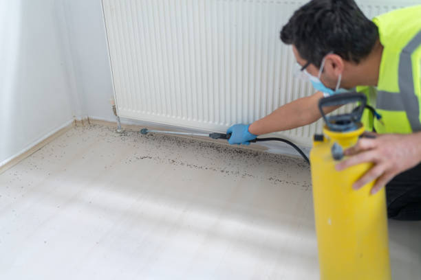 Best Local Pest Control Services  in Tonopah, NV