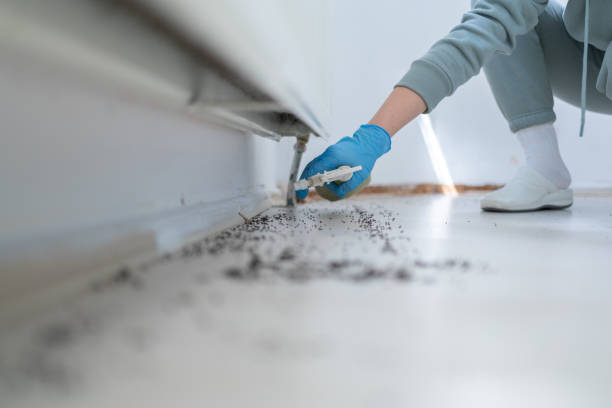 Best Best Pest Control Companies  in Tonopah, NV